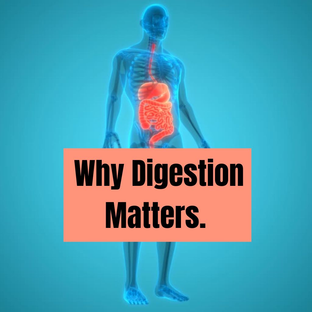 Why Digestion Matters:   A Guide to Understanding and Improving Gut Health ​