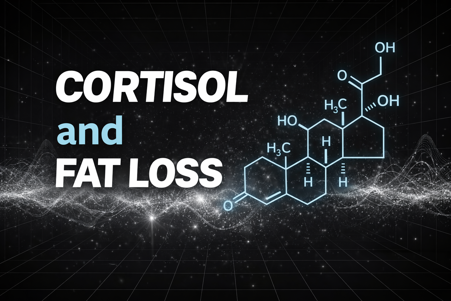 Cortisol, Energy, and Why Progress Stalls​