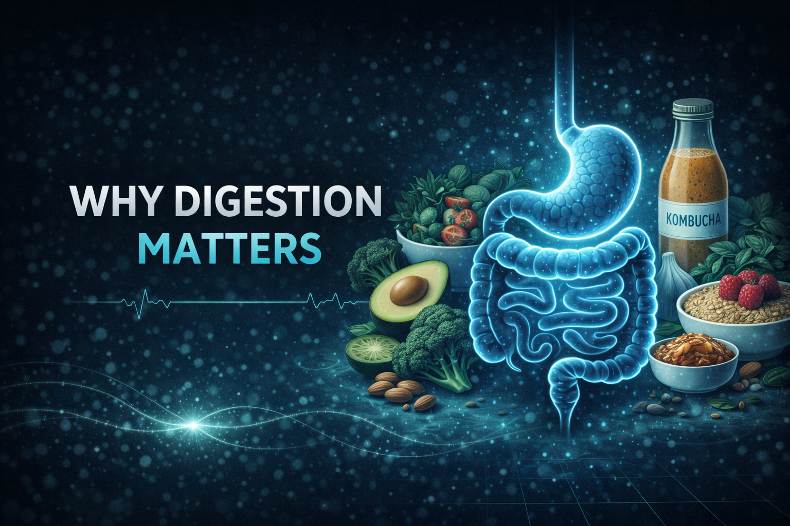 Why Digestion Matters